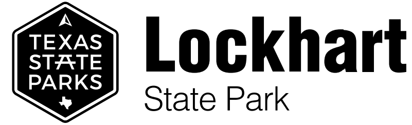 Homeschool Class: Fire